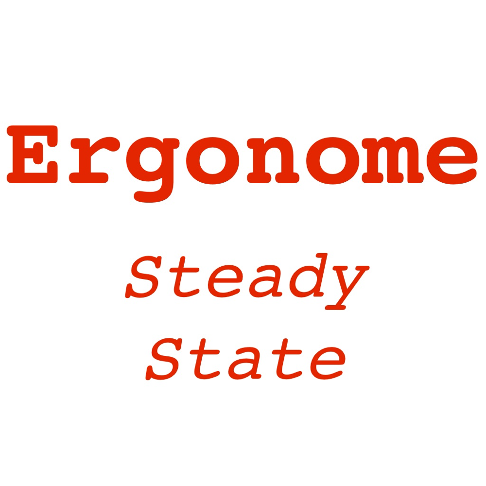 ergonome steady state logo